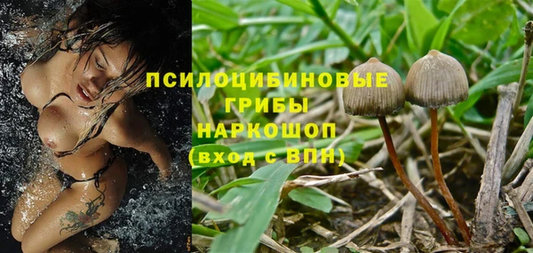 экстази Богородск