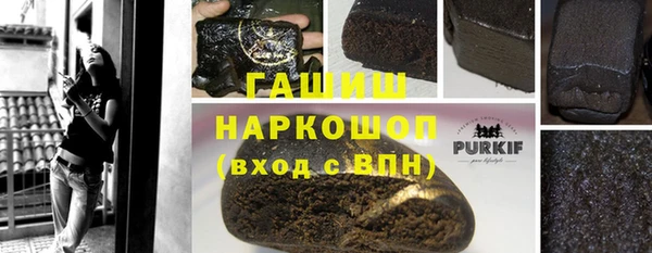 дмт Богородицк