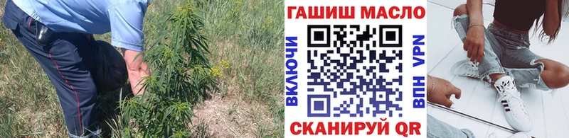 ТГК THC oil Астрахань