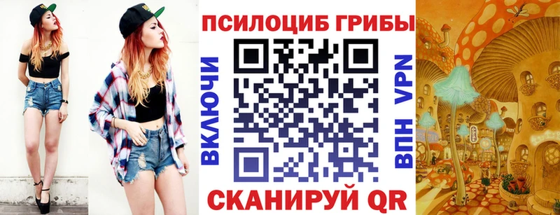 blacksprut онион  Астрахань  Псилоцибиновые грибы Cubensis 
